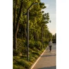 Aethel Arc urban street light ART-1319 on tree-lined avenue